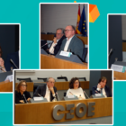 Informe “Situación de la Formación en España 2024-25”